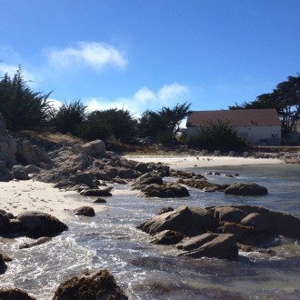 Beach: Late Afternoon