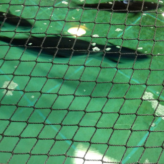 Tuna